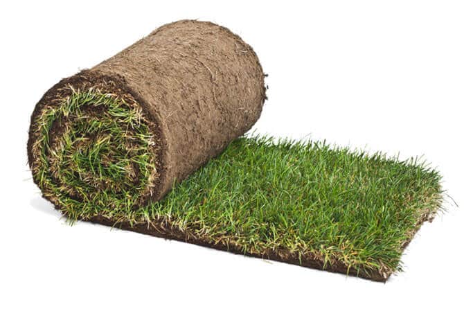 sod clear